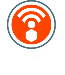 PolyWorks | Talisman™